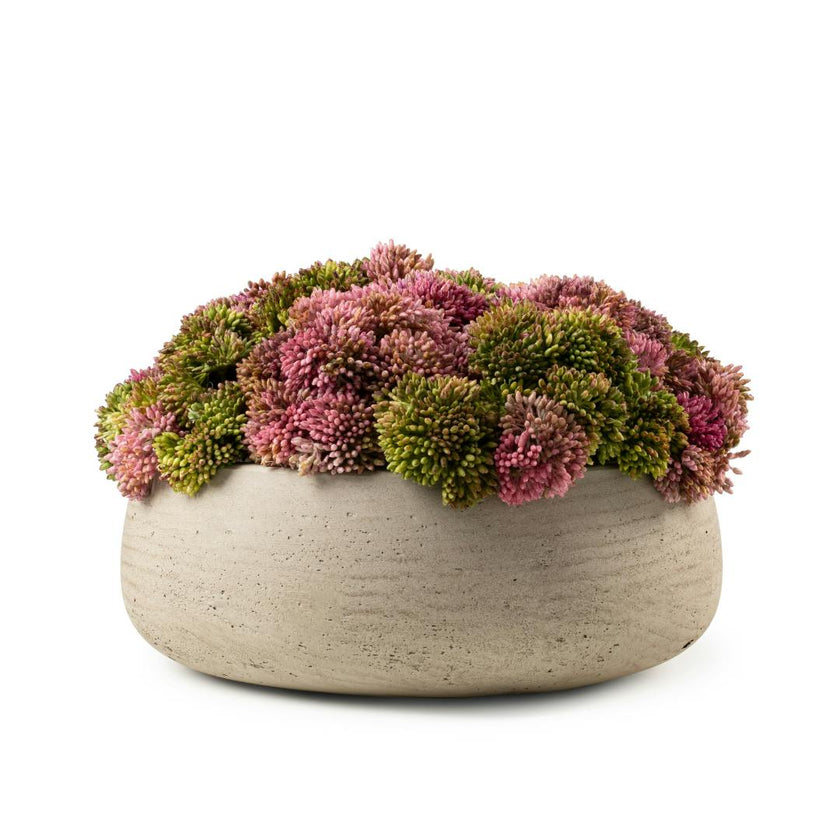 DH Green & Pink Sedum Floral in Eileen Pot