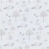 Gray Raccoon Pima Cotton Baby One-Piece Pajamas