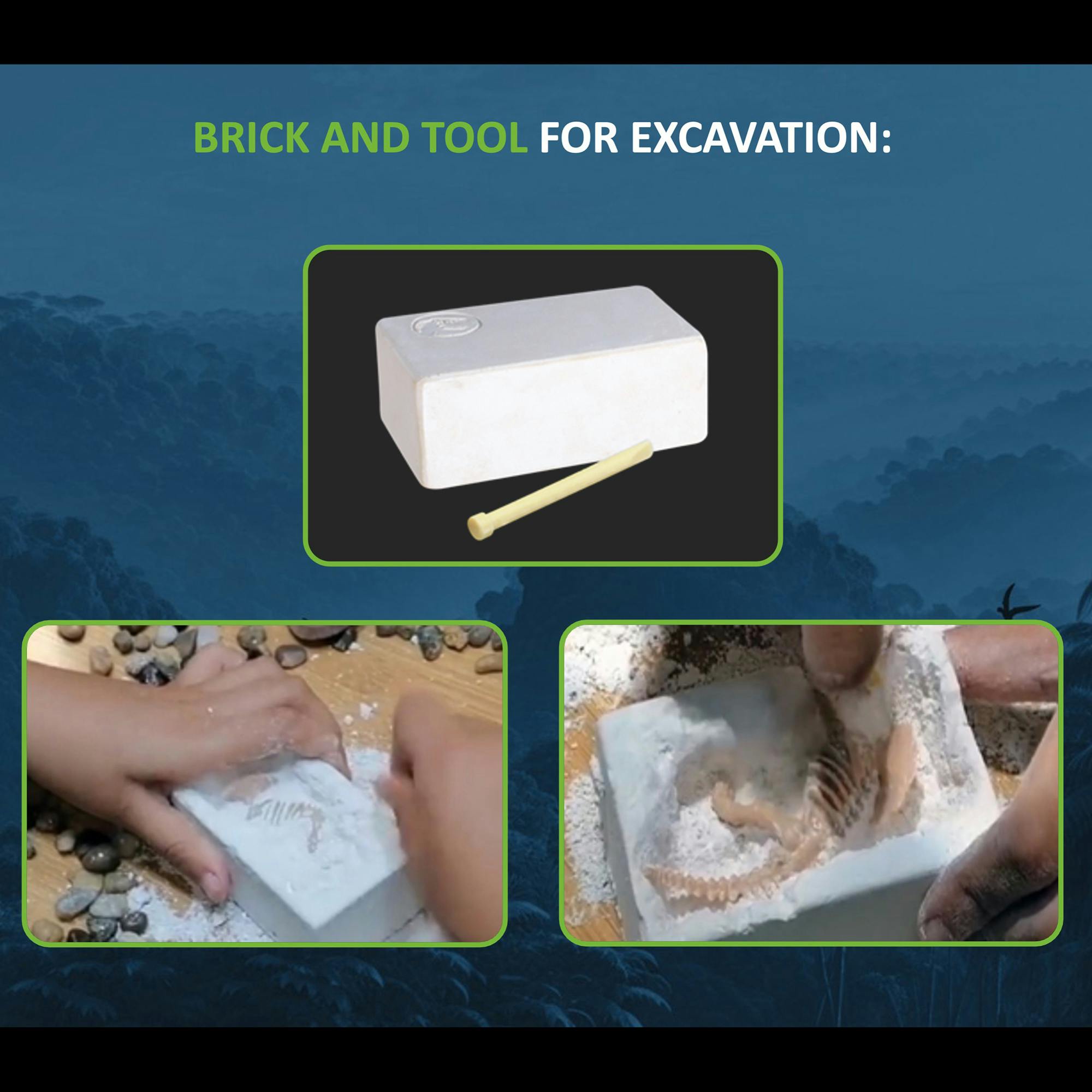 AR Dino Explorer Combo: Velociraptor - XL & Brick
