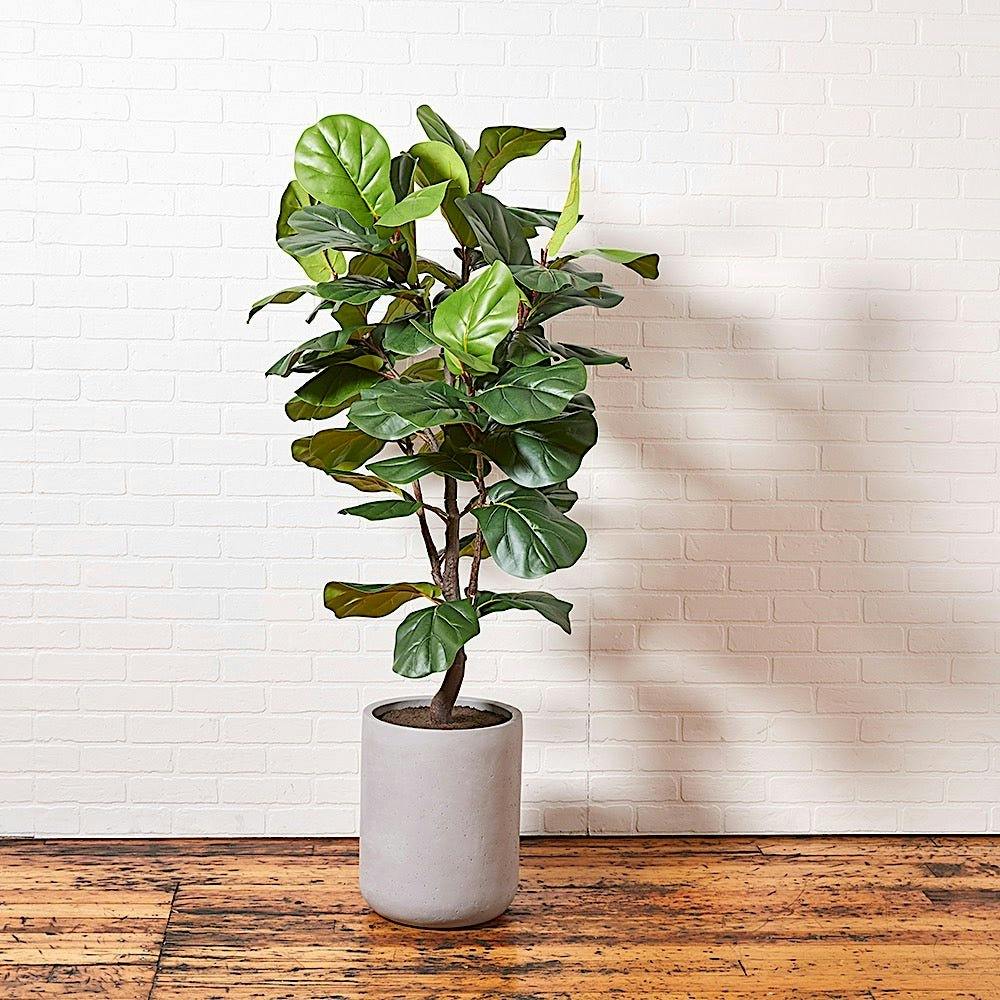 Artificial Fiddle Leaf Fig Tree with Artisan Planter