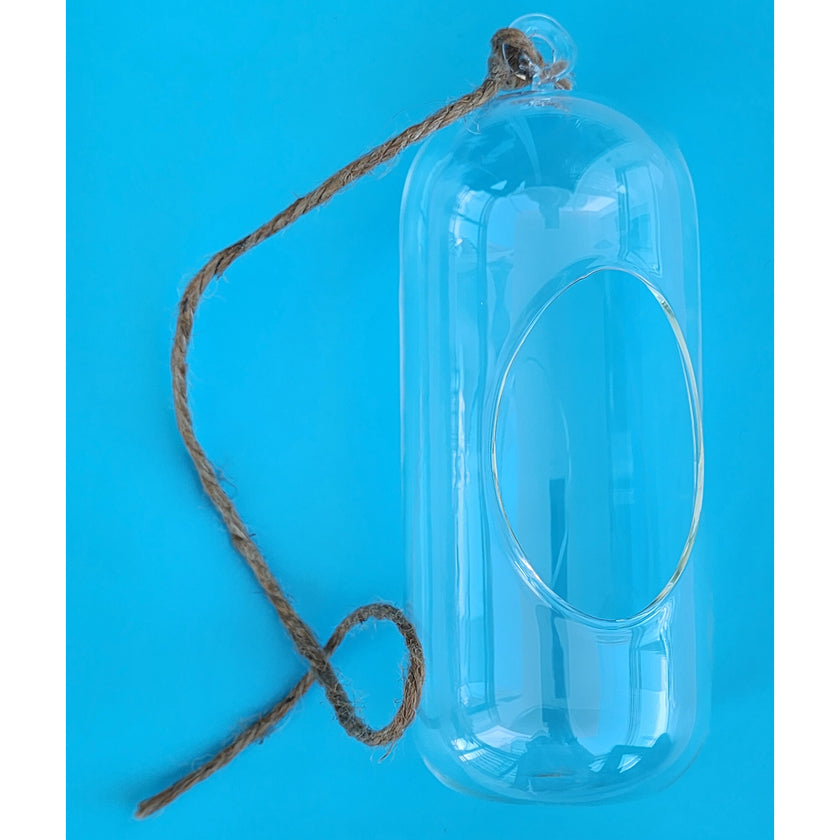 Glass Terrarium: Carefree Capsule