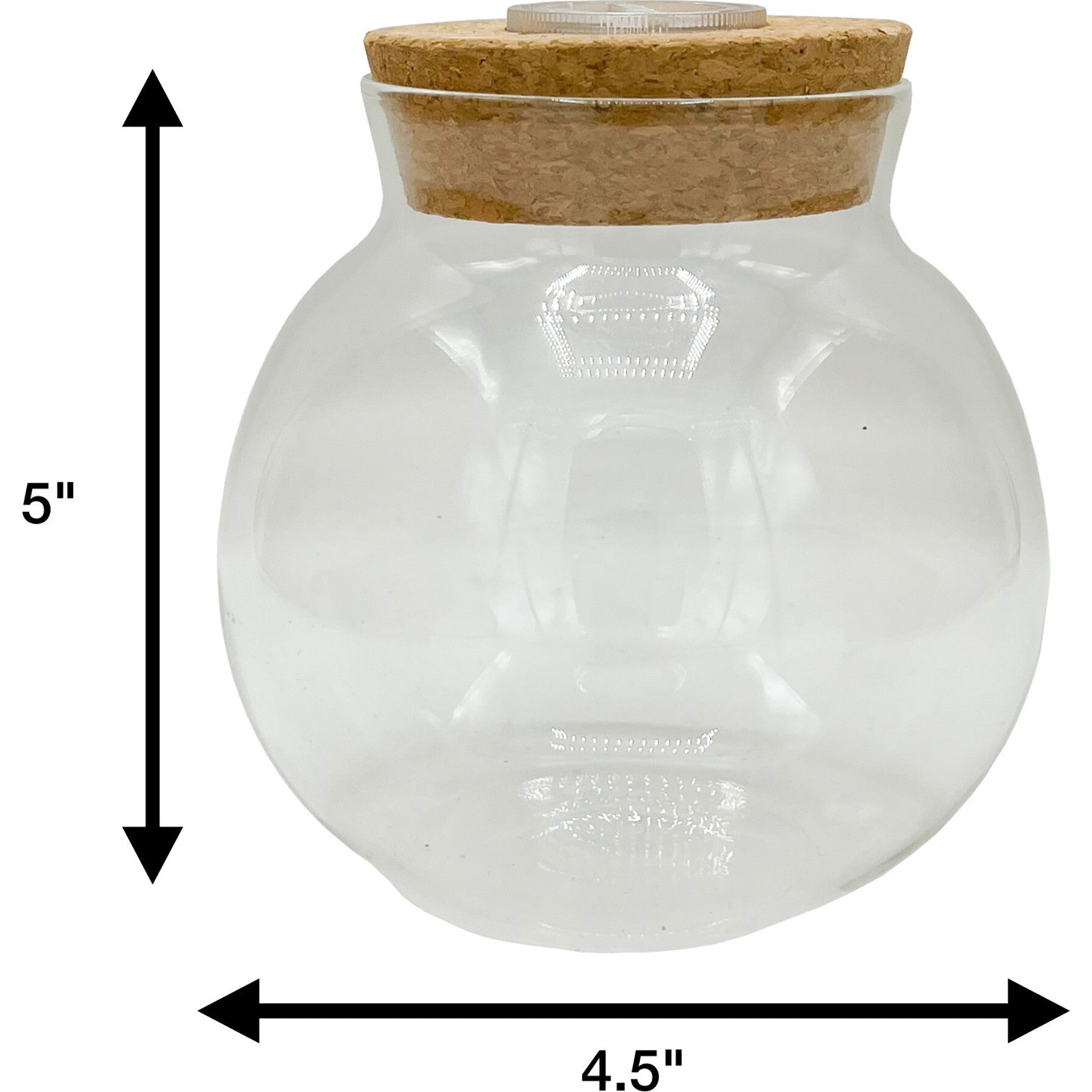 Glass Terrarium: 4