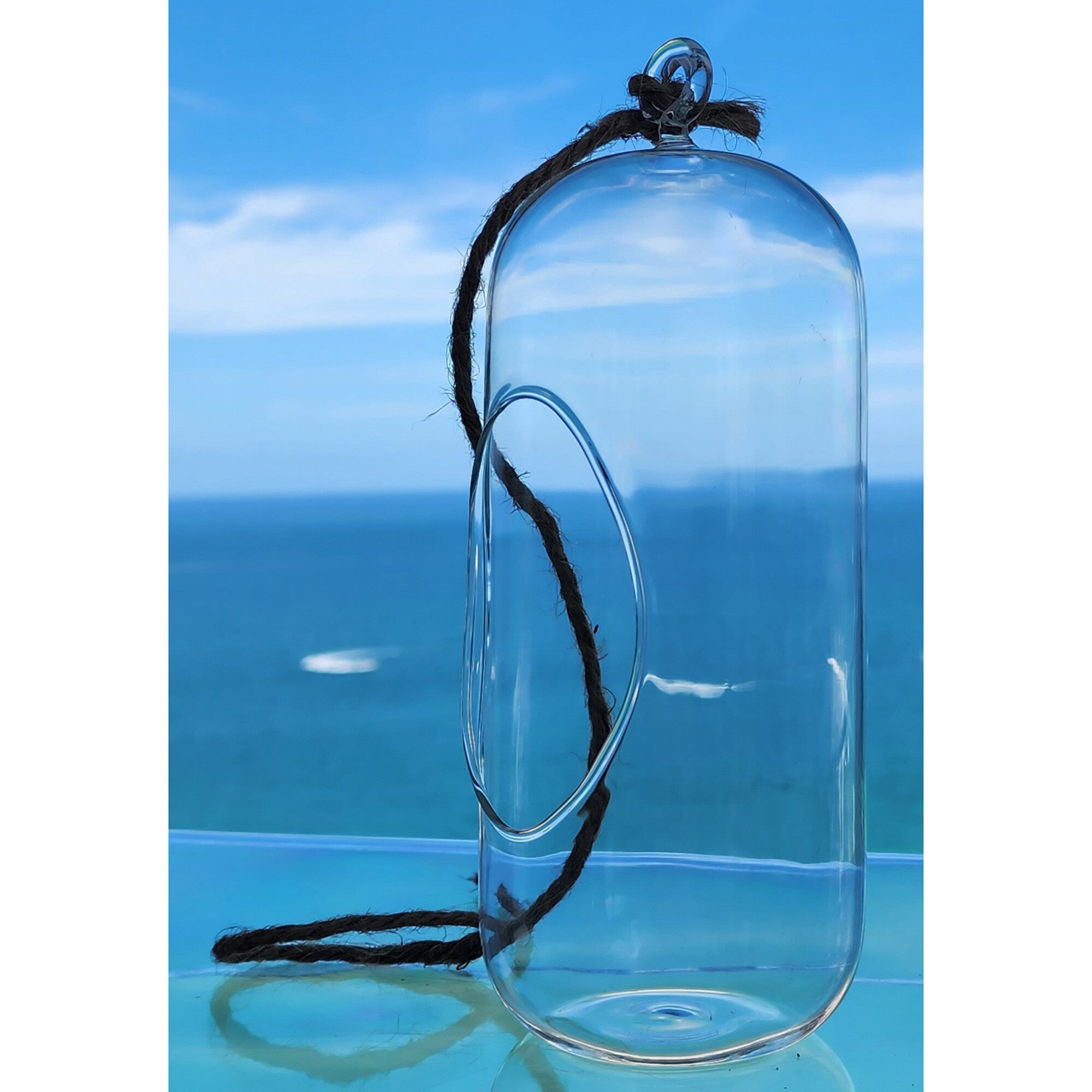 Glass Terrarium: Carefree Capsule