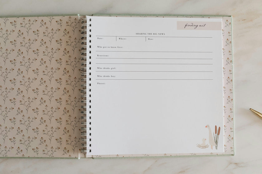 Lucy Darling Pregnancy Journal
