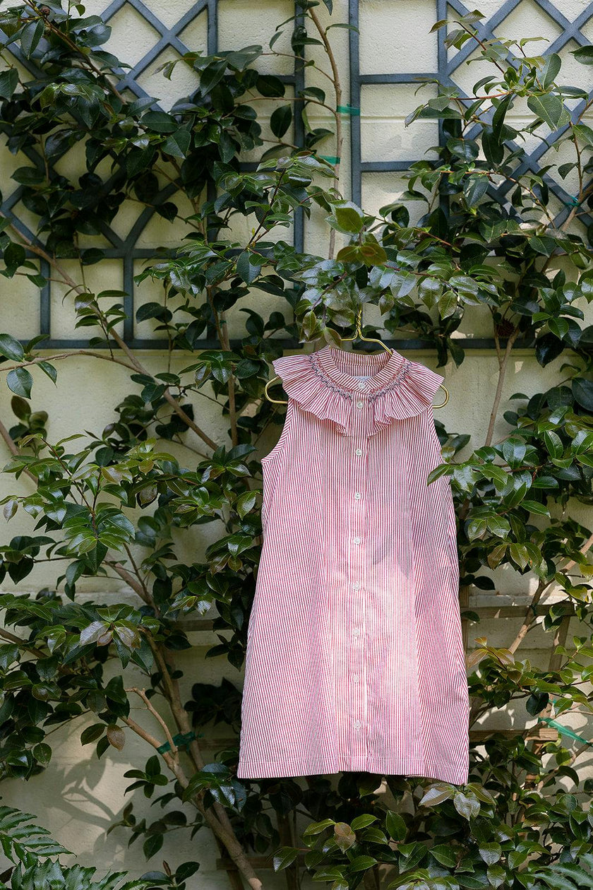Molly Anne Dress in Red Seersucker