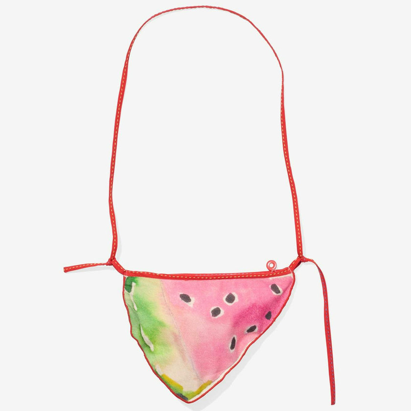 Little Zip Purse, Summer Slice
