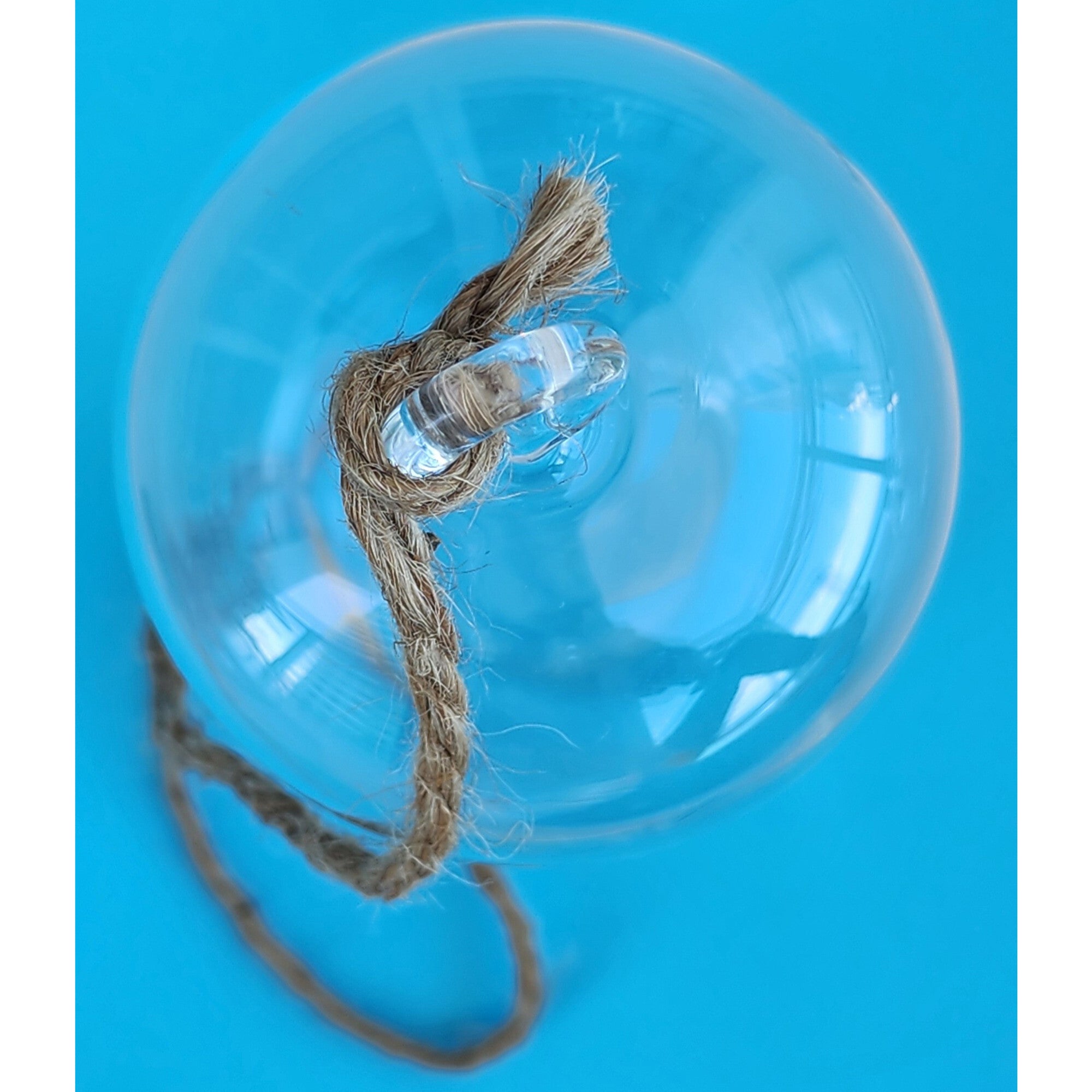 Glass Terrarium: Carefree Capsule