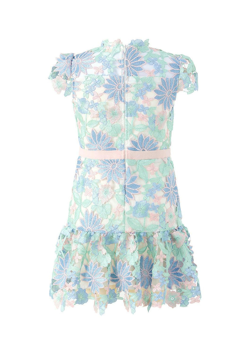 Addison Embroidered Mini Dress