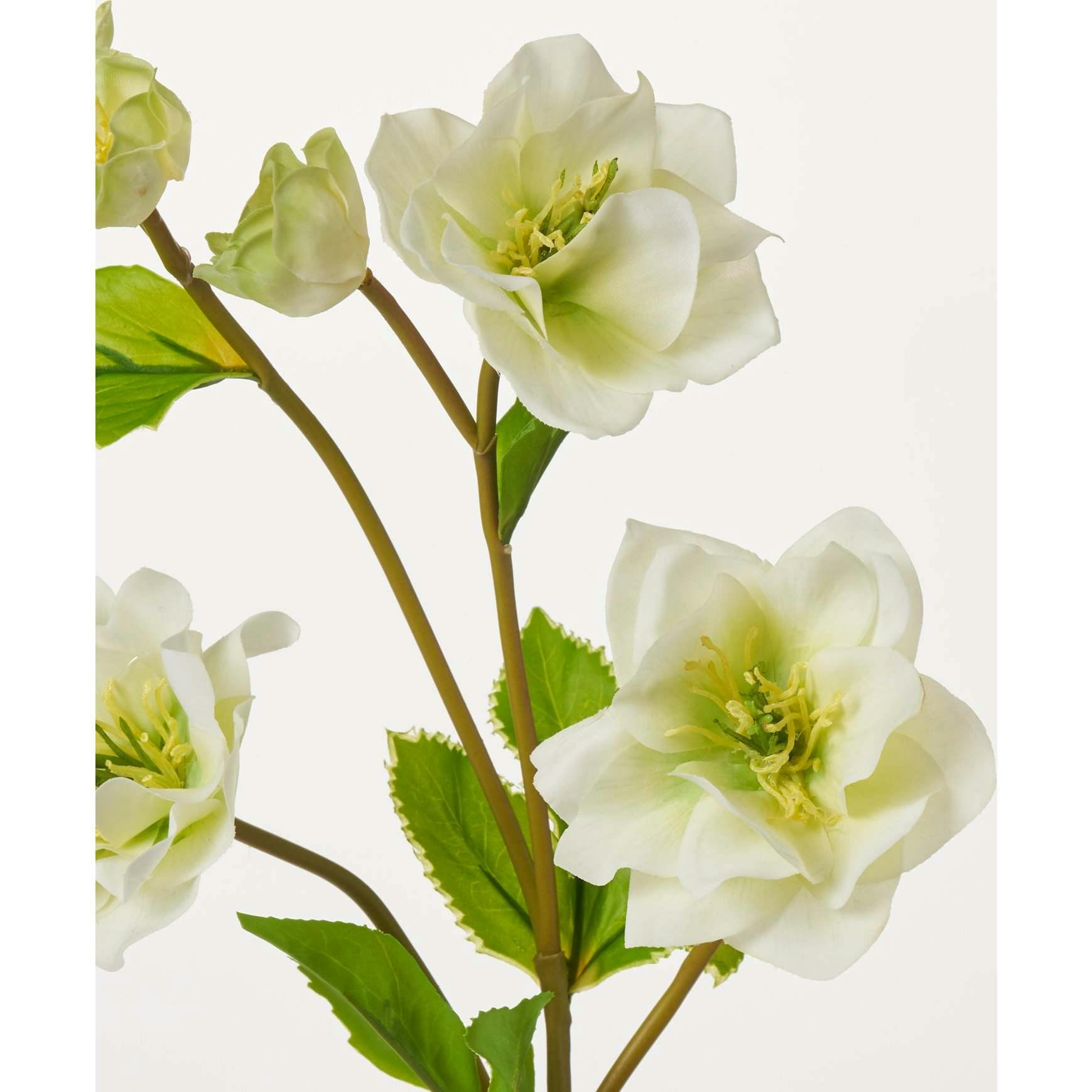 Real Touch Helleborus Stem 24