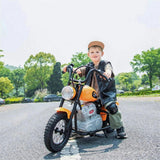 36V Freddo E-Chopper, Leather Seat, Rubber Air Wheels, Brushless Motor