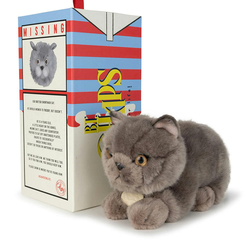 Plush BT CHAPS Freddy the British Shorthair in giftbox ECO 7"