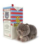 Plush BT CHAPS Freddy the British Shorthair in giftbox ECO 7"