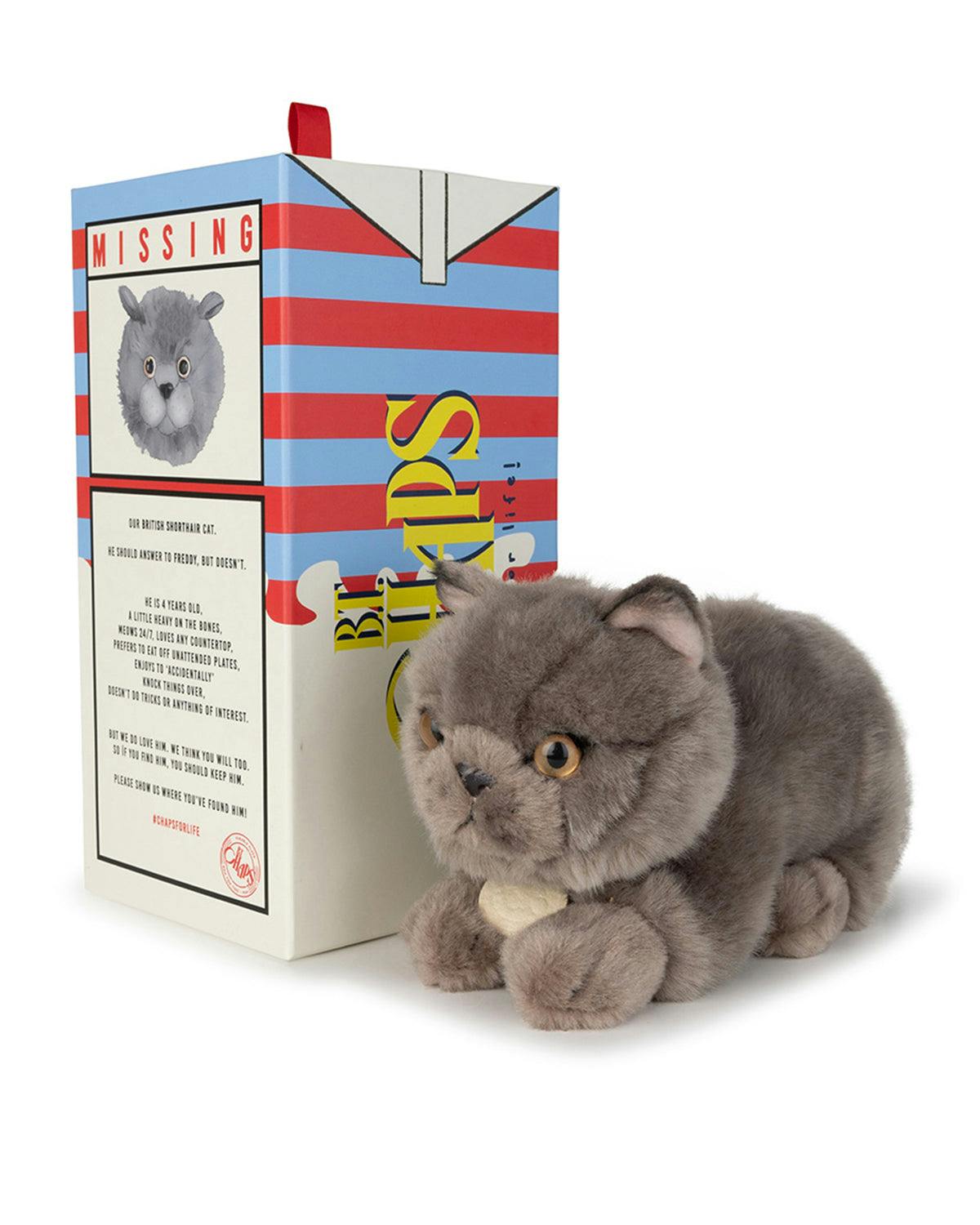 Plush BT CHAPS Freddy the British Shorthair in giftbox ECO 7