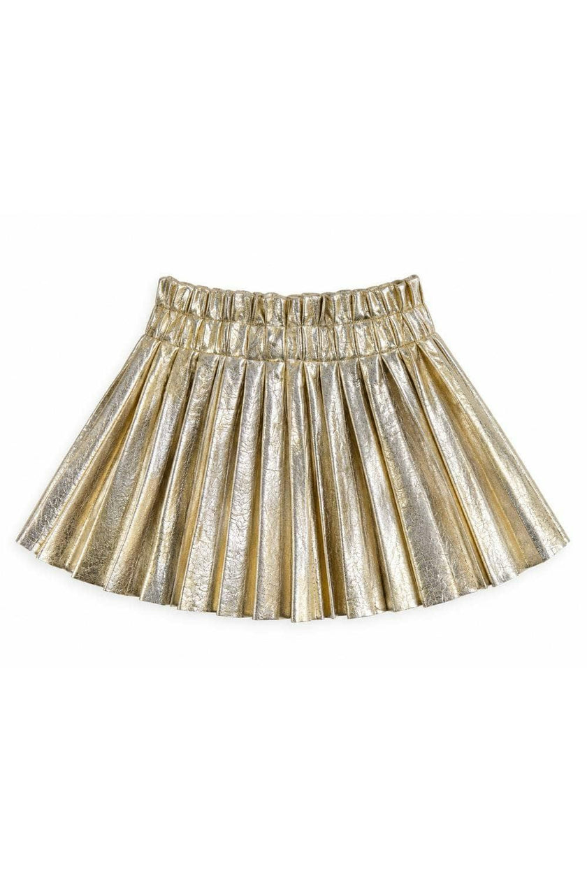 Foil Pleated Skirt