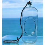 Glass Terrarium: Carefree Capsule - 2 Pack