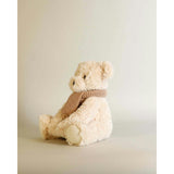 Harold the Bear - Knitted Scarf