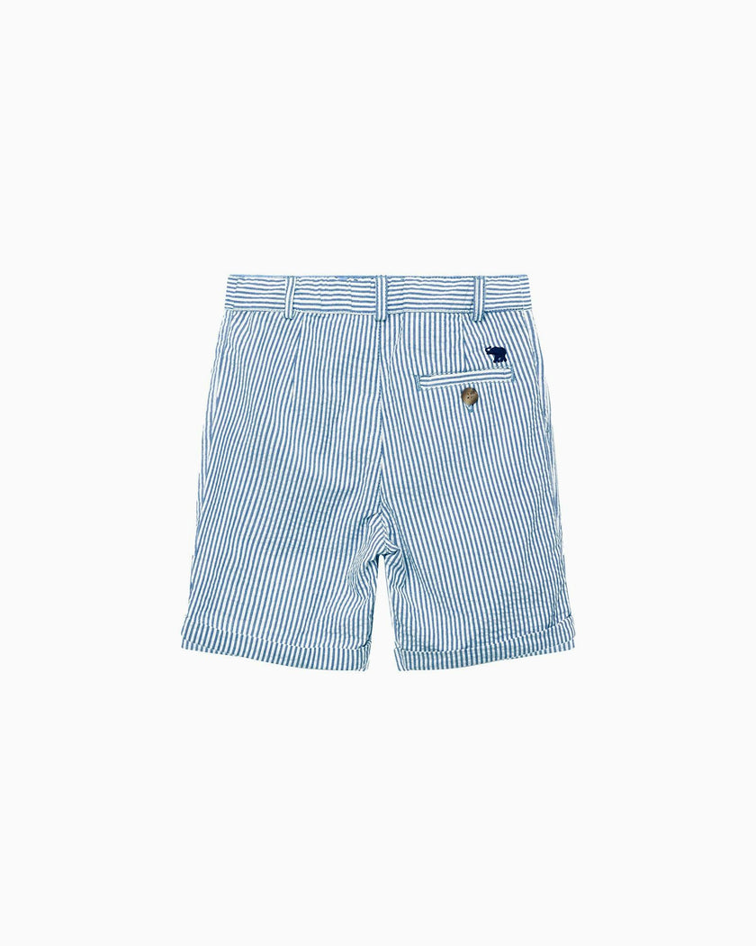 Charlie Chino Shorts in Blue Stripe