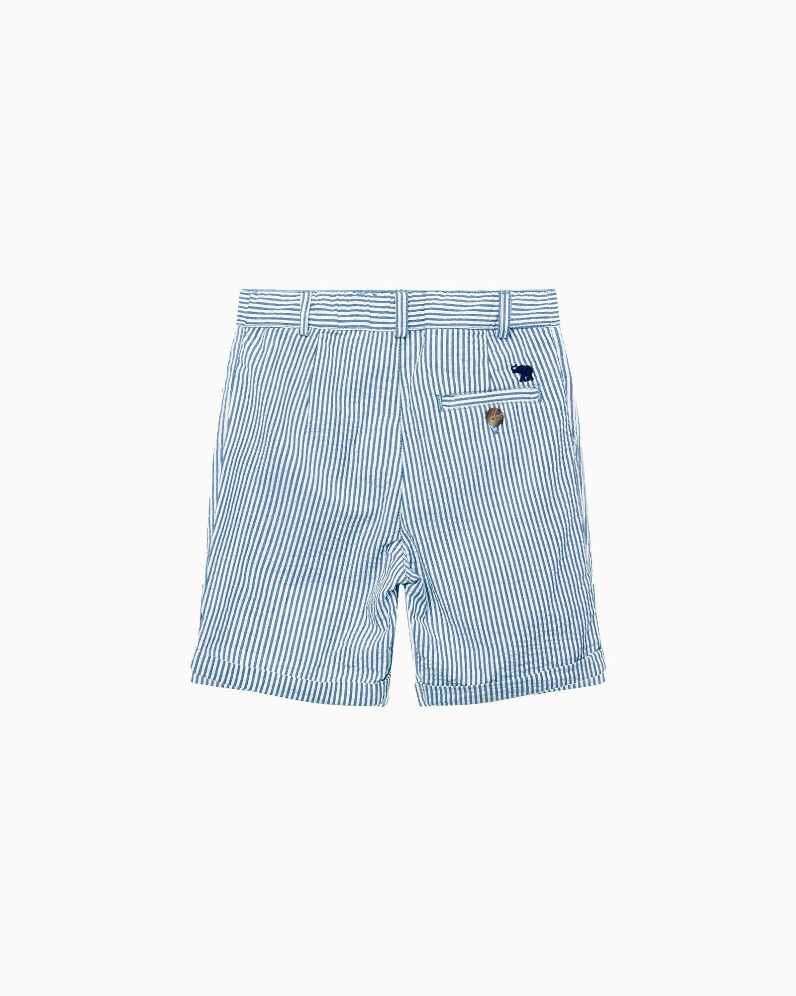 Charlie Chino Shorts in Blue Stripe