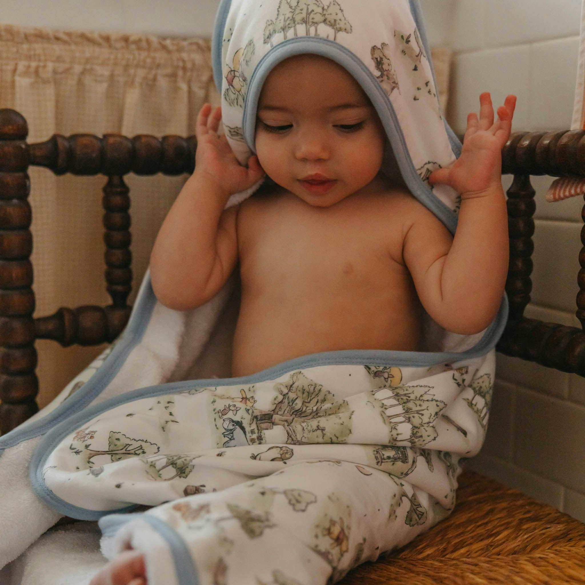 Premium Baby Knit Hooded Towel - Hundred Acre Wood