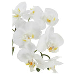 21" White Phalaenopsis Orchid in Textured Pot