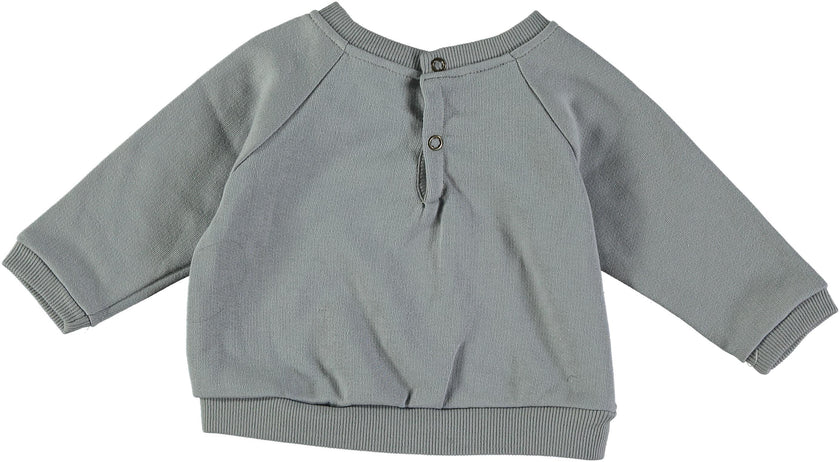 baby squirrel sweatshirt
