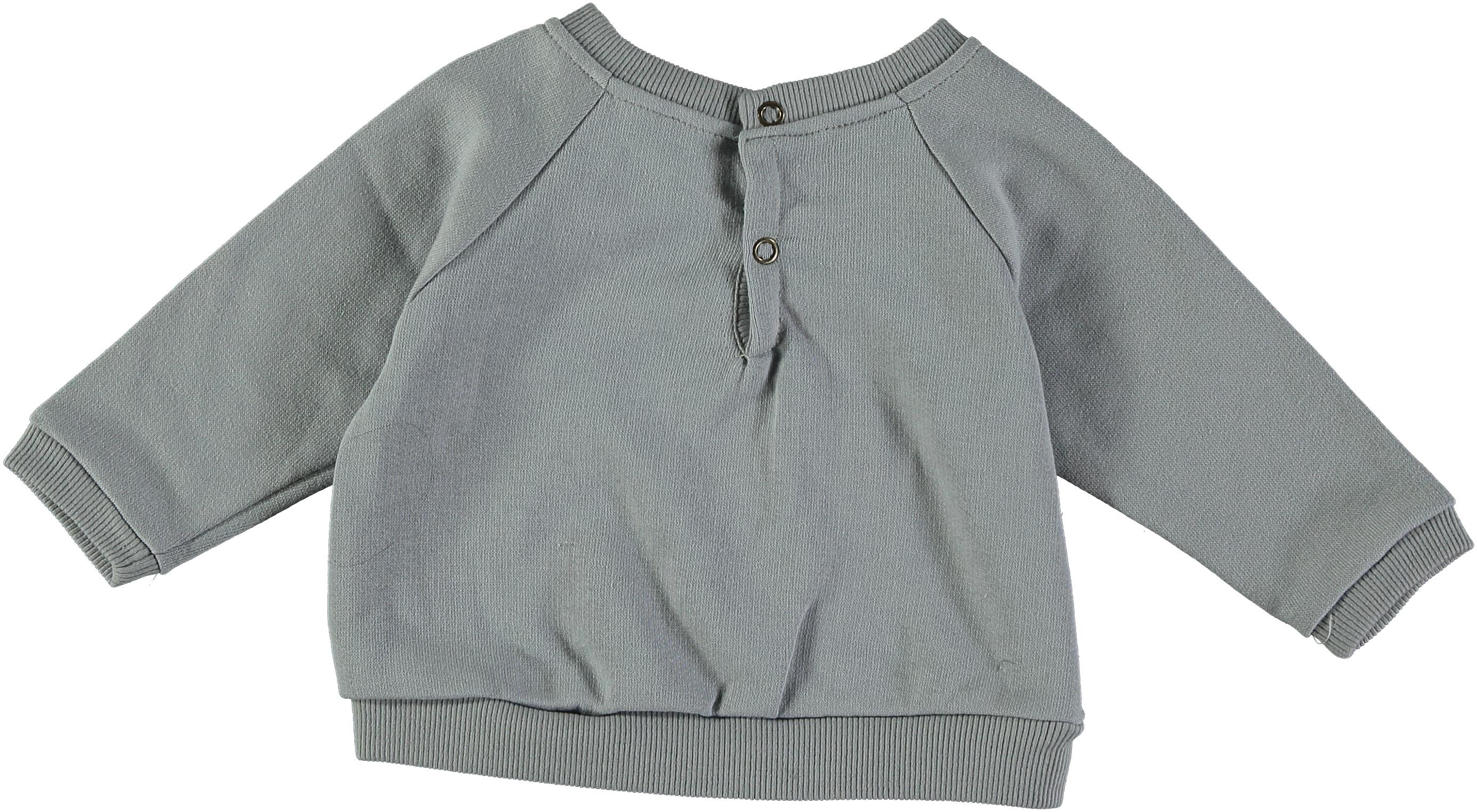 baby squirrel sweatshirt