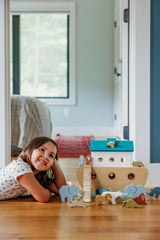 Noah's Wooden Ark