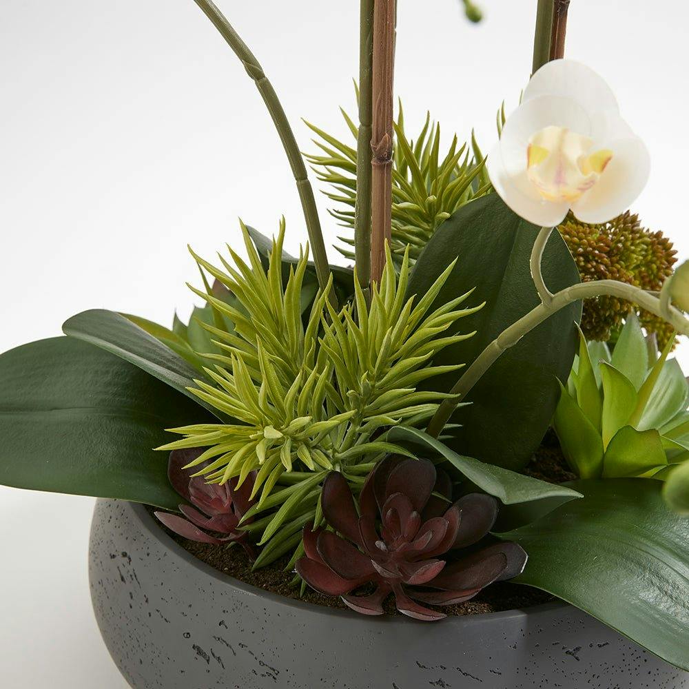 Artificial Orchid with Succulents