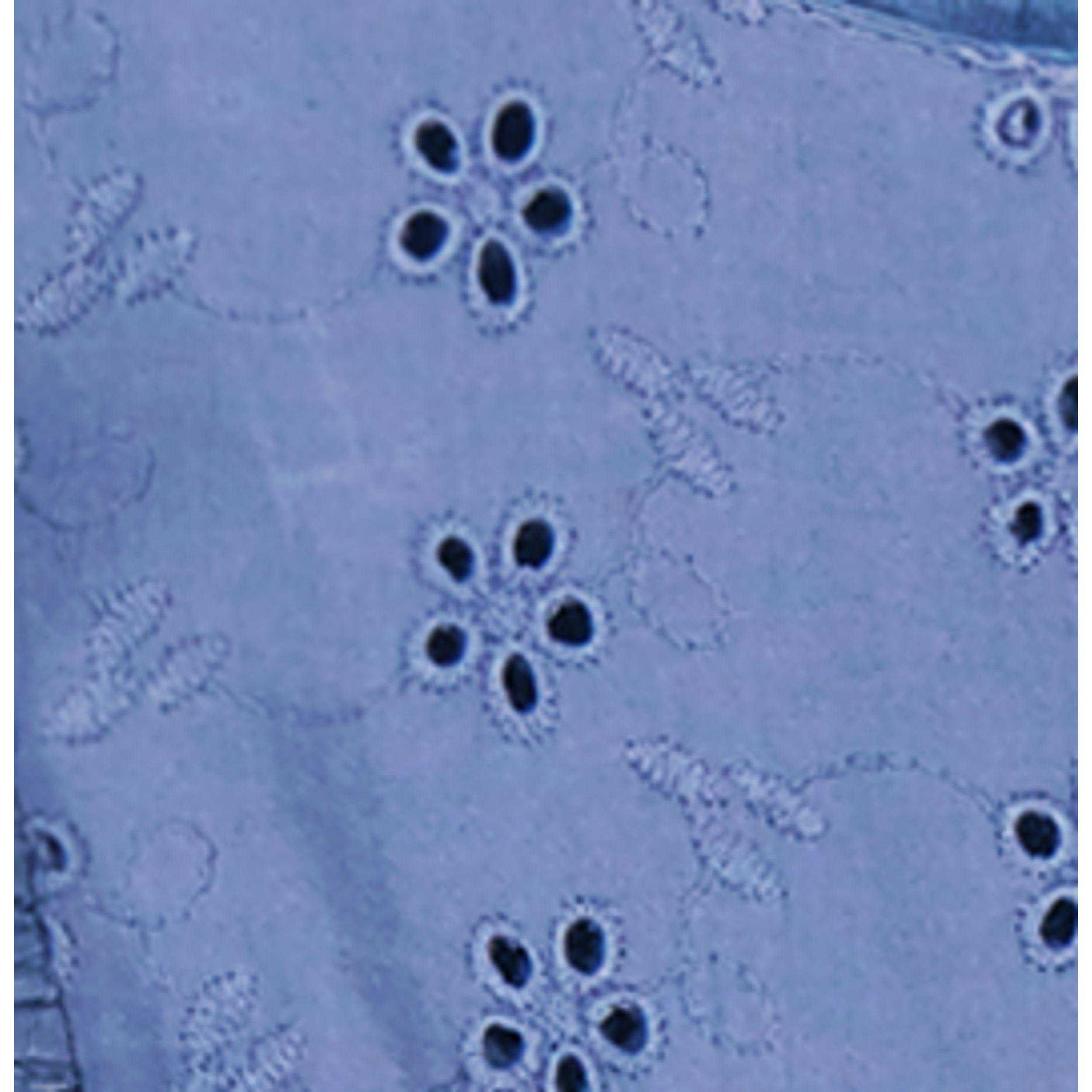 Sophie Girls Tassel Dress Ocean Blue Eyelet, Ocean Blue Eyelet