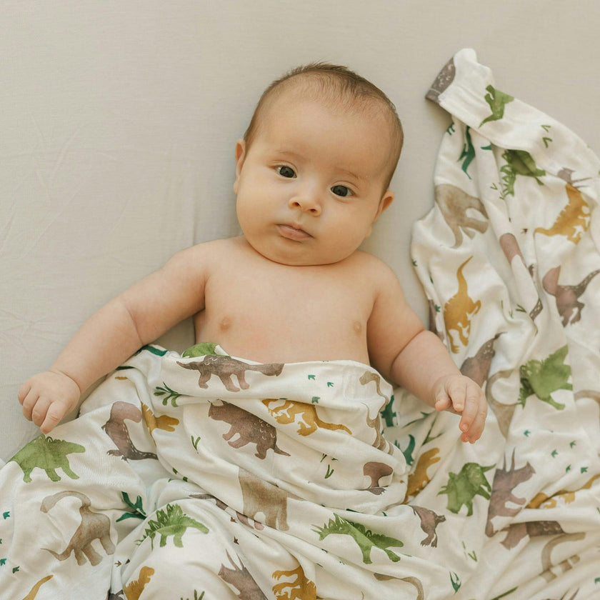 Stretch Knit Swaddle Blanket 2 Pack - Dino Pals