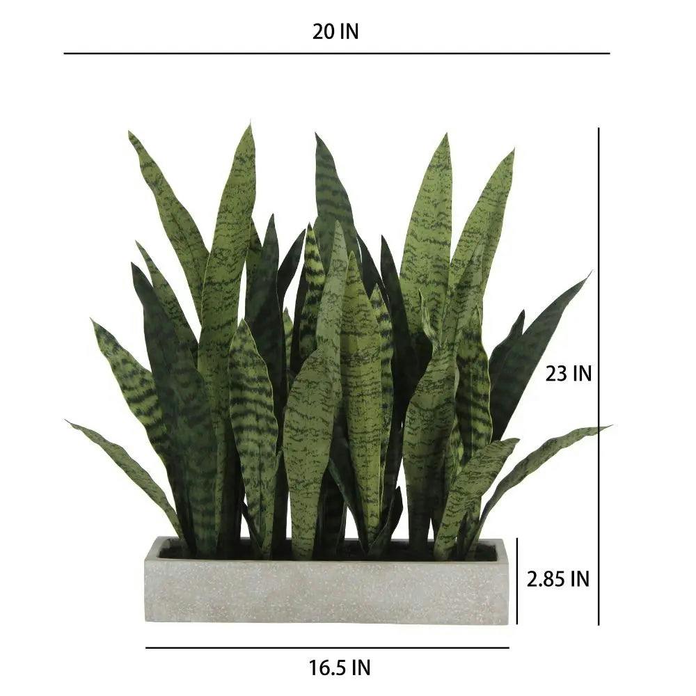 Rectangular Snake Plant Arrangement in Gray Pot