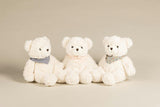 Pamplemousse Peluches Maurice the Bear