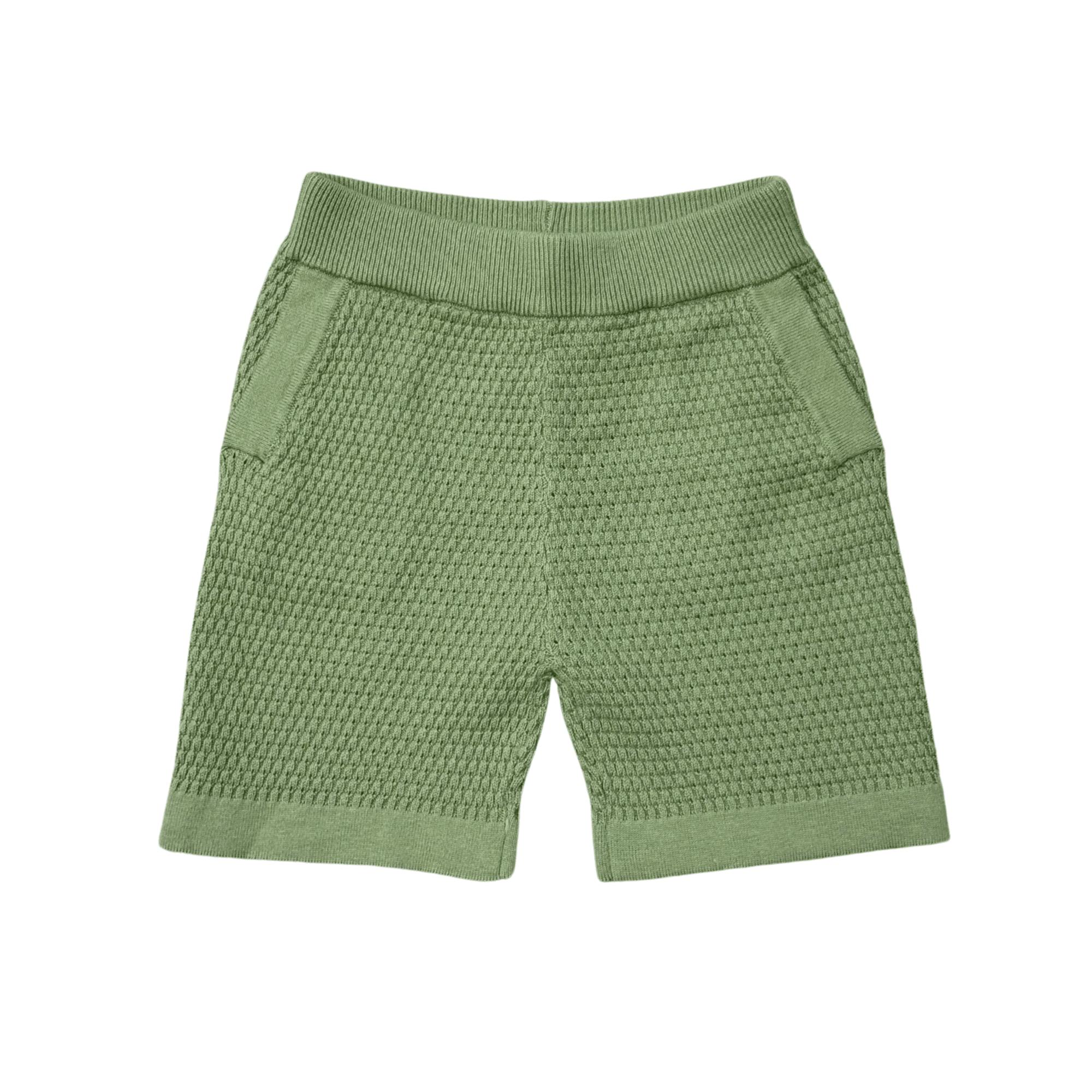 Boys Knit Shorts in Aloe