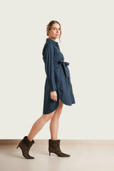 Weekday Maternity & Nursing Button-Down Dress