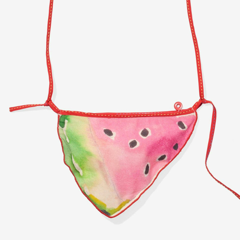 Little Zip Purse, Summer Slice