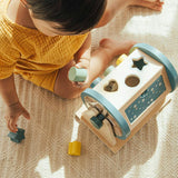 Activity Roller