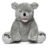 Little Bear - Stormy
