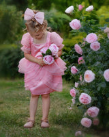 Blush Petal Princess Ruffle Dress