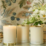 Monserrate Rose 9.5oz Candle