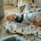 Cotton Muslin Sleep Bag - Air Show