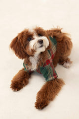 Green Plaid Dog Shirt