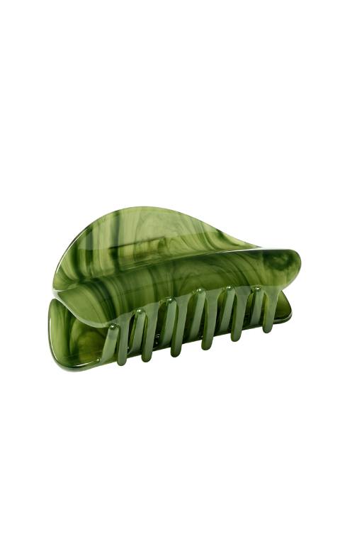 Crescent Claw in Algae