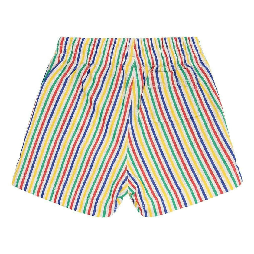 Fun Stripe Mini Swim Trunk