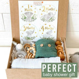6-Piece Baby Closet Dividers & 20-Piece Baby Milestone Stickers Baby Shower Gift