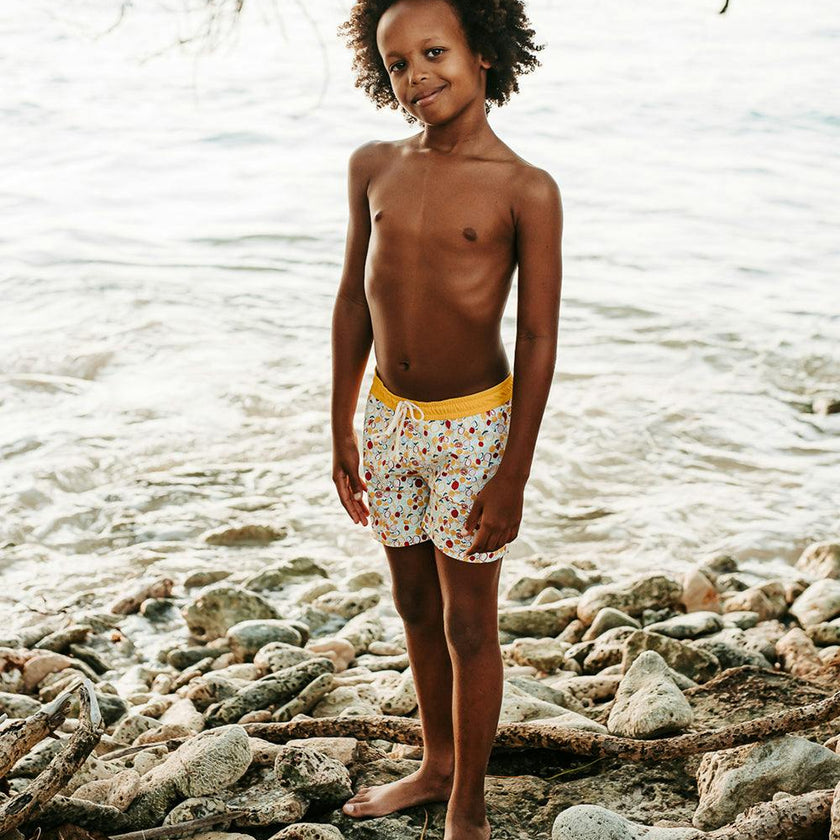 Tommaso Swim Shorts Lemon Print