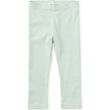 YD Capri Leggings, Green