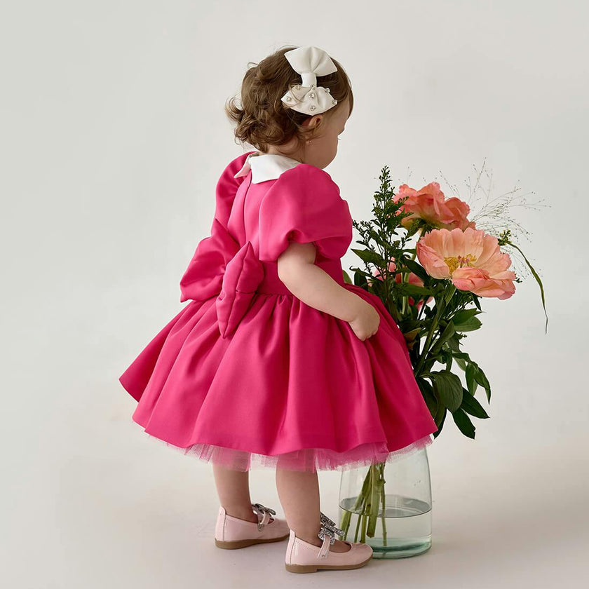 The Little Pink Dress
