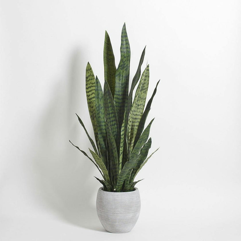 Artificial Snake Plant with Artisan Planter