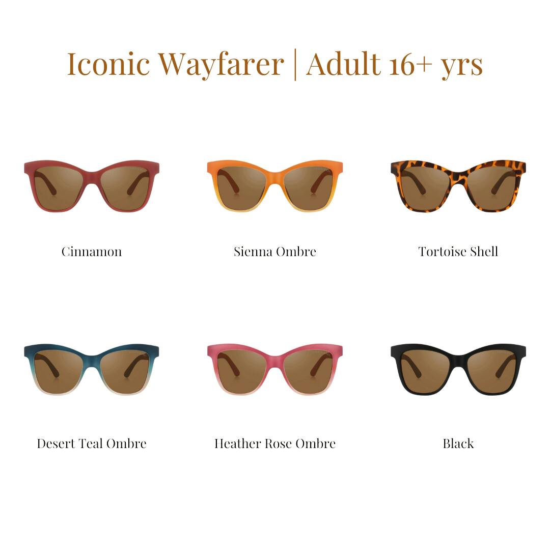 Iconic Wayfarer Ombre  | Polarized Sunglasses | Adult | 15+ Y | Desert Teal Ombre