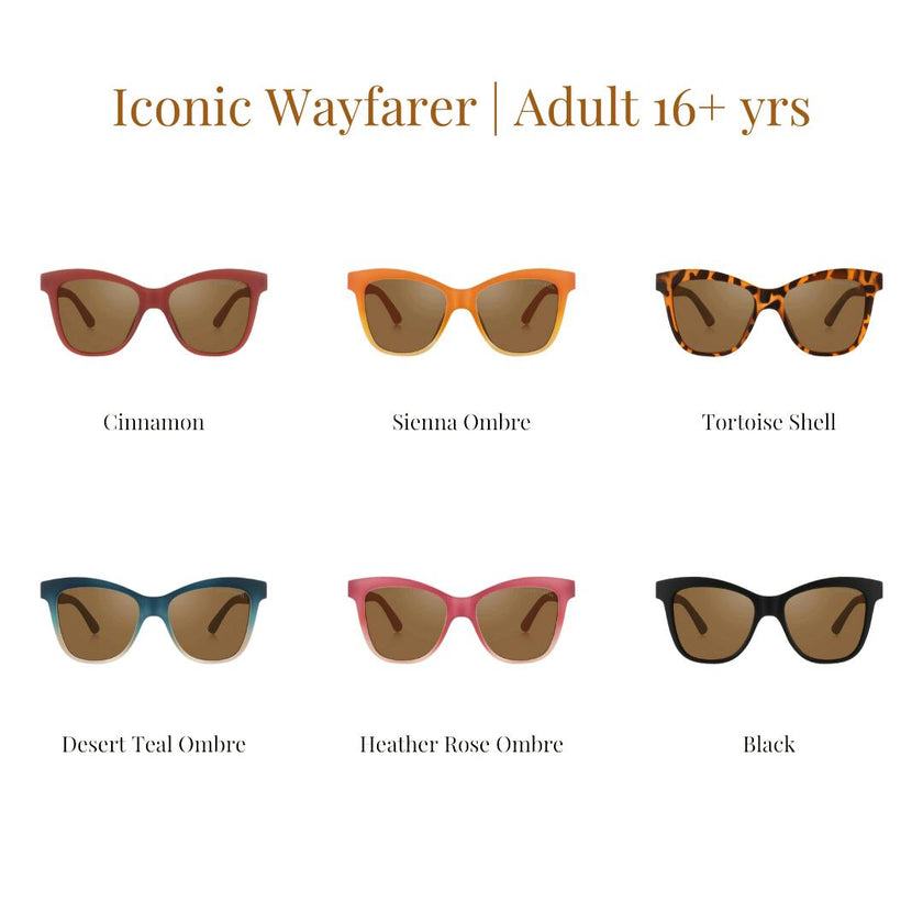 Iconic Wayfarer Ombre | Polarized Sunglasses | Adult | 15+ Y | Black